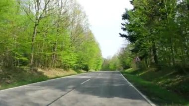 Bahar, sürüş bir yolda Alman orman