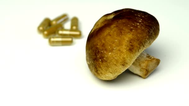 Cogumelo shiitake em uma plataforma giratória — Vídeo de Stock