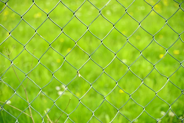 Fence with green background — Stock Photo, Image