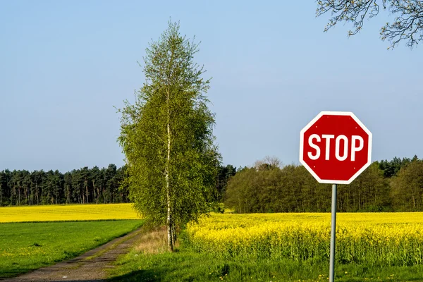 Stop a repce termesztése — Stock Fotó