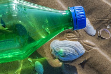 kabukları ve şişe ile plaj