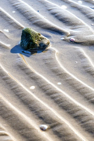 Beach with tracks — Stock Photo, Image