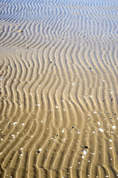 Beach with tracks — Stock Photo, Image