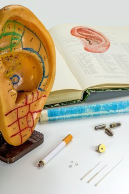 akupunktur iğneleri, kulak modeli, ders kitabı, moxa koni ve bitkisel ilaçlar