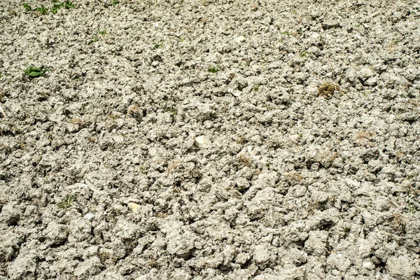 ดินแห้ง — ภาพถ่ายสต็อก