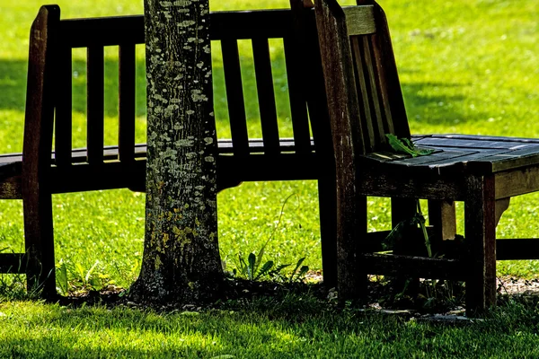 Parkbank unter Baum — Stockfoto