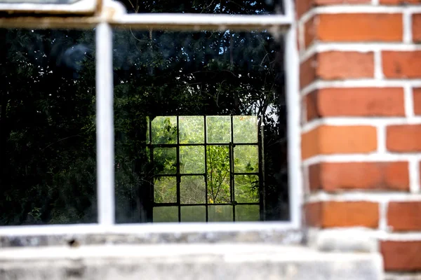 Se gjennom et hus i en vill hage – stockfoto