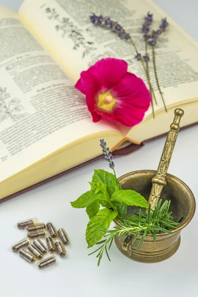 Natuurgeneeskunde met kruiden — Stockfoto