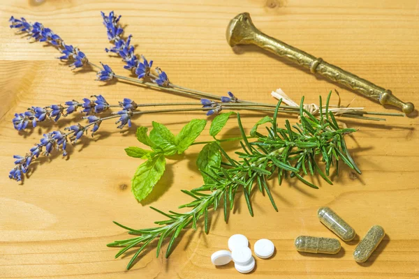 Herbs of Provence, lavender and rosemary — Stock Photo, Image
