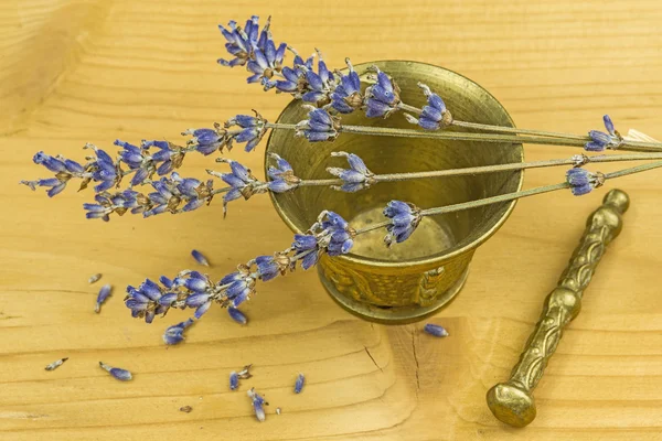 Lavendel mit Mörtel — Stockfoto