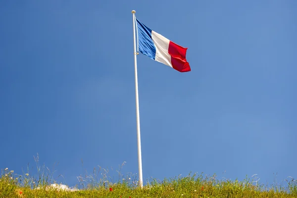 Bandera de Francia —  Fotos de Stock