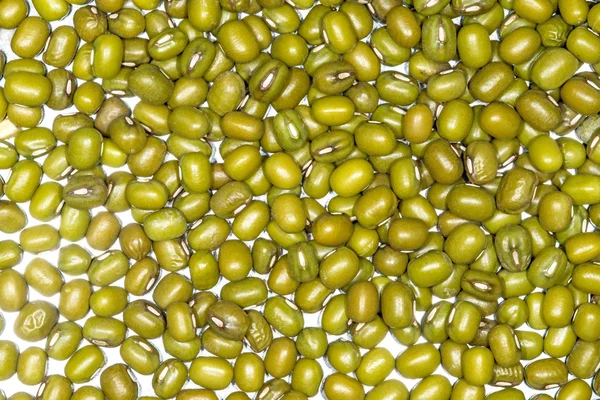 Groene sojabonen — Stockfoto