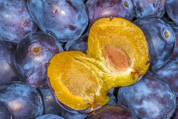 Plums — Stock Photo, Image