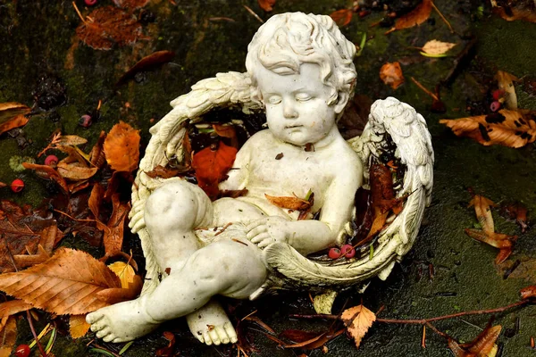 Dulce Figura Ángel Sobre Una Tumba Otoño Con Hojas Caídas —  Fotos de Stock