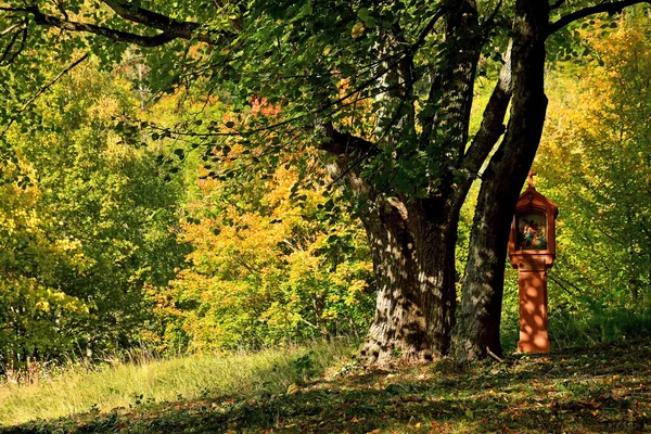 Cross Pilgrim Way Autumnal Painted Leaves — Stock Photo, Image