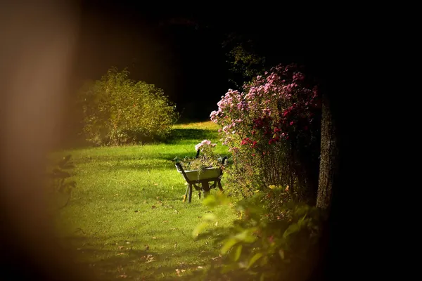Blick Den Garten Durch Ein Schlagloch Auf Eine Schubkarre — Stockfoto
