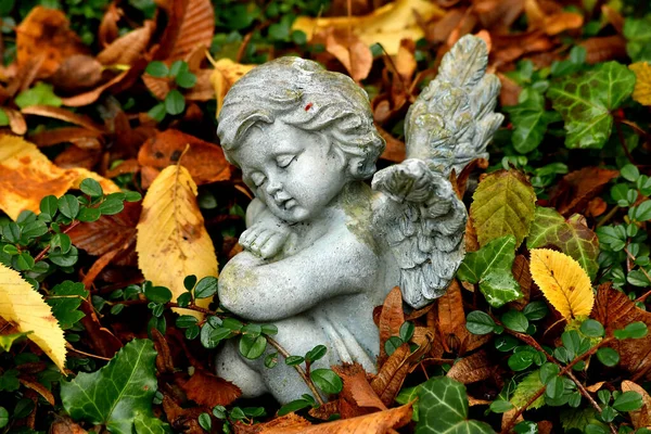 堕落した葉を持つ秋の墓に眠る天使の姿 — ストック写真
