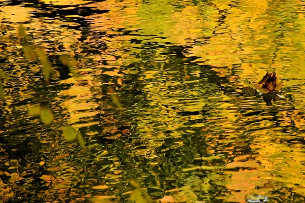 Malá Řeka Krásnými Zrcadlovými Barvami Podzimních Malovaných Listí — Stock fotografie