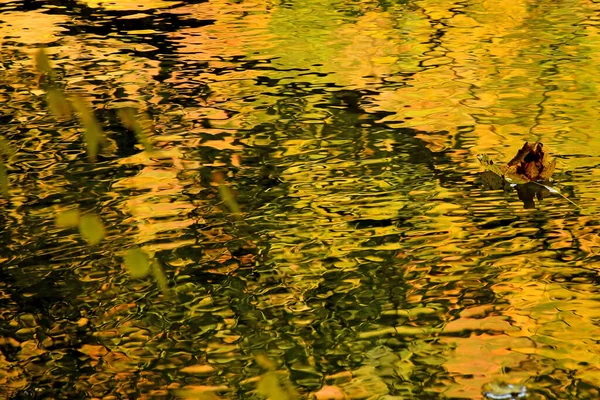 Petite Rivière Avec Belles Couleurs Miroirs Feuilles Peintes Automne — Photo