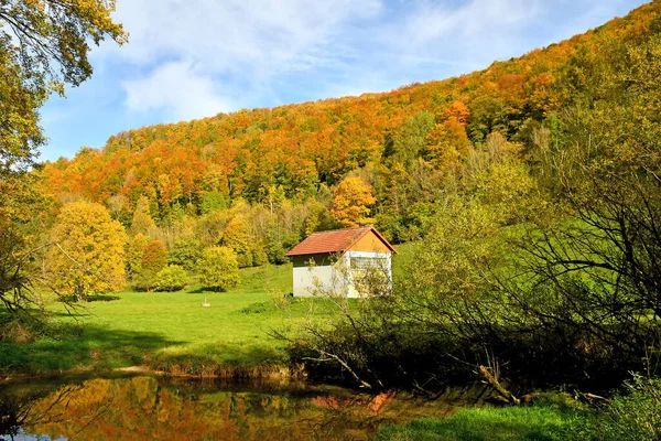 Bosque Pintado Otoñal Con Arroyo Cabaña Alemania — Foto de Stock