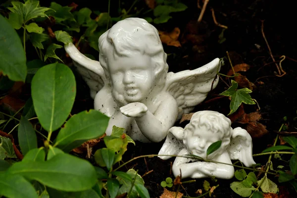 墓の上の甘い天使の姿 — ストック写真