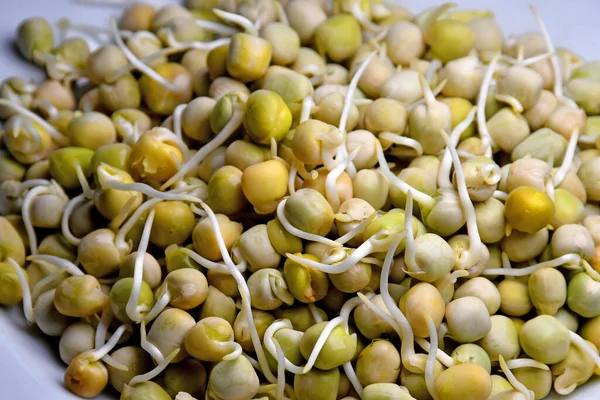Pea Sprouts Closeup — 스톡 사진
