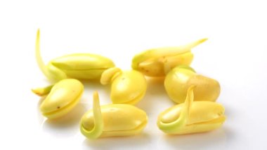 sehpada soya fasulyesi filizleri