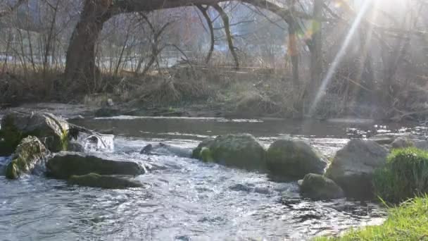 Wild Creek Icicles Sun Rays Wintertime Germany — Vídeo de Stock