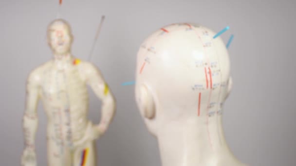 Akupunkturní Jehly Modelu Akupunkturní Hlavy Otočném Stole — Stock video