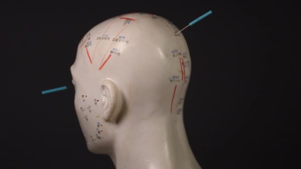 Акупунктурні Голки Акупунктурній Моделі Голови Поворотному Столі — стокове відео