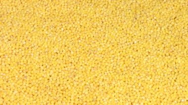 Millet döndürme masasında, tam çerçeve