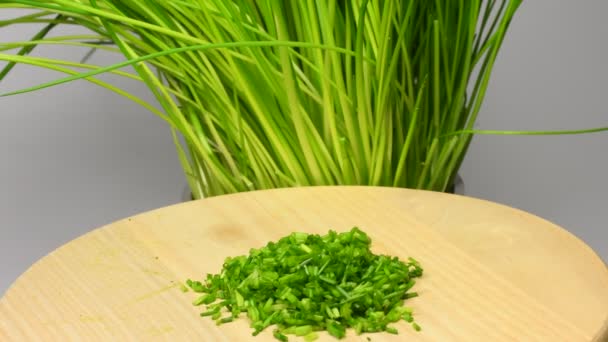 Chive Cut Herb Turn Table Green Fresh Plant — Stock Video