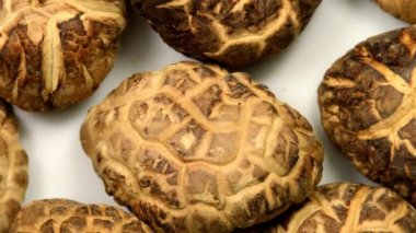 Shiitake mantarı çevirme masasında