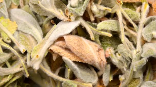 Grecka Herbata Górska Herbata Lecznicza Suszone Liście Stole Obrotowym — Wideo stockowe