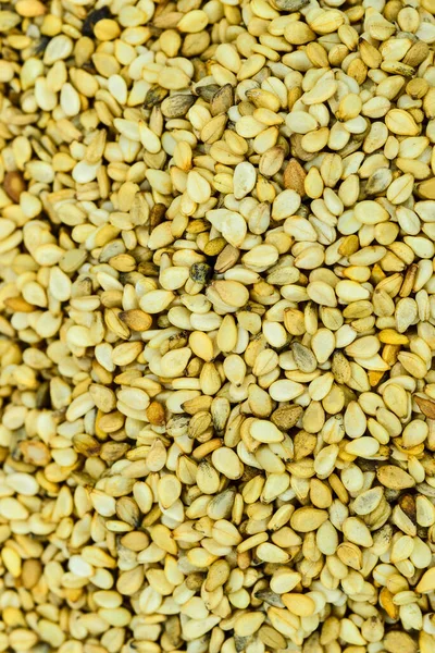 Sesame Seeds Closeup — Stock Photo, Image