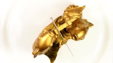 Çin sazanları üzerinde akupunktur iğnesi.