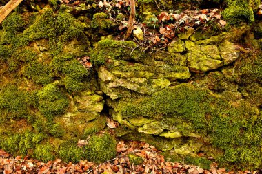 Almanya 'da bir ortaçağ kalesinin kalıntıları.