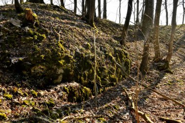 Almanya 'da bir ortaçağ kalesinin kalıntıları.