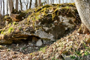Almanya 'da bir ortaçağ kalesinin kalıntıları.