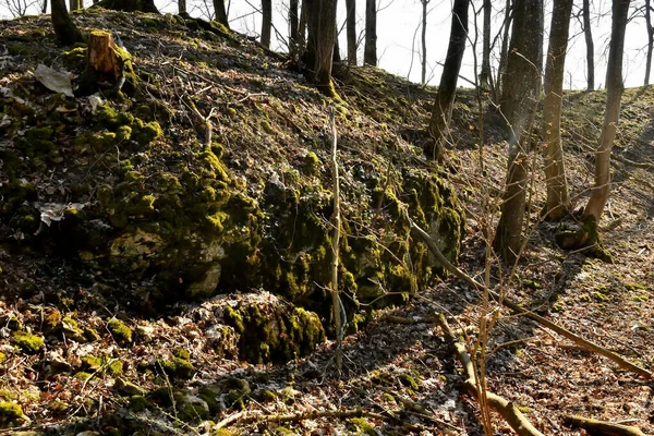 Almanya 'da bir ortaçağ kalesinin kalıntıları.