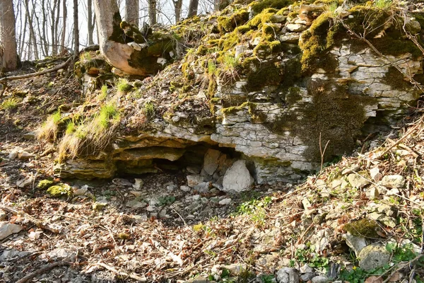 Remains Medieval Castle Germany — Stock Photo, Image