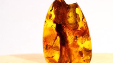 Amber, sehpanın üzerinde büyük bir parça