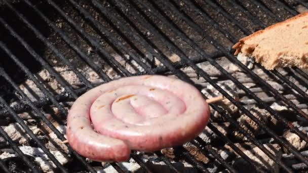 Barbecue German Bratwurst Charcoal — Stok video