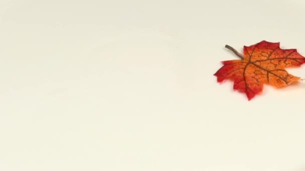 Jesienny Malowany Liść Klonu Stole Obrotowym Białą Pustą Przestrzenią Kopiowania — Wideo stockowe