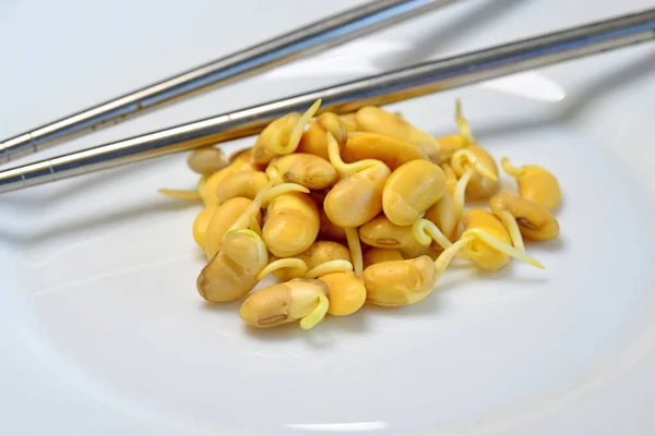 Yellow Soybean Sprouts Closeup — Stok fotoğraf