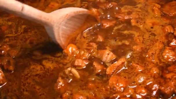 Cooking Hungarian Goulash Pan Stirring — Stock Video