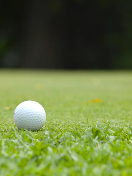 Old golf ball on green tee