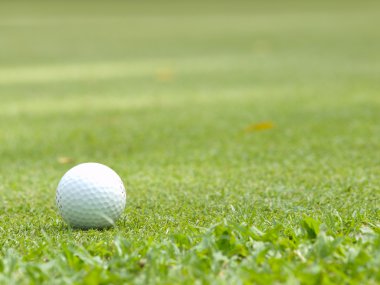 Yeşil tişört üzerinde eski golf topu