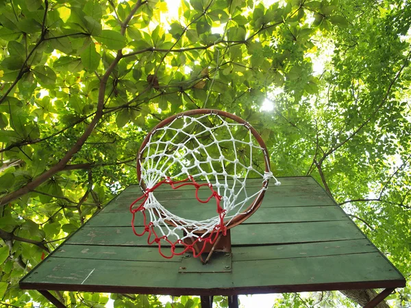 Basketbalový koš s čerstvé zelené listy — Stock fotografie