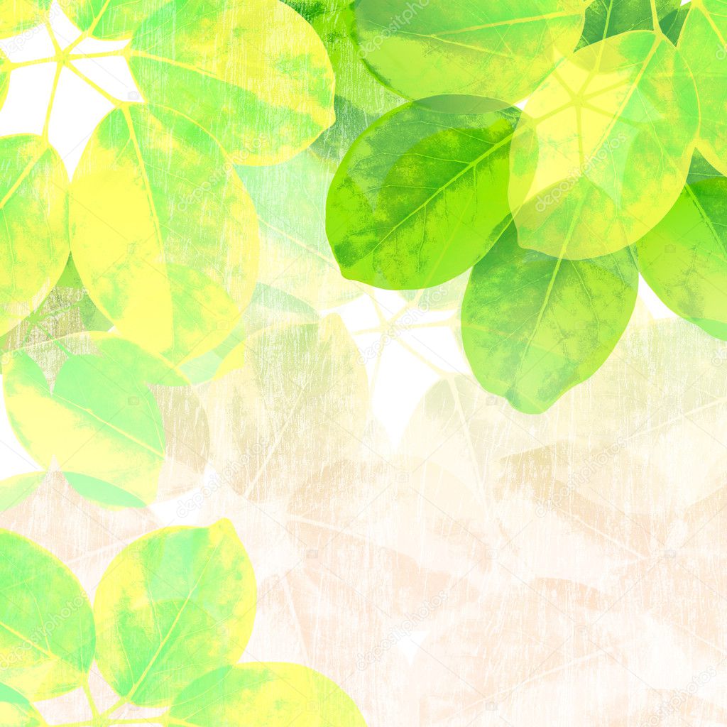 Nature background with green leaves.